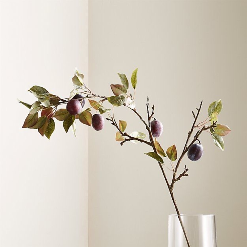 Crate & Barrel Plum Stem S/6